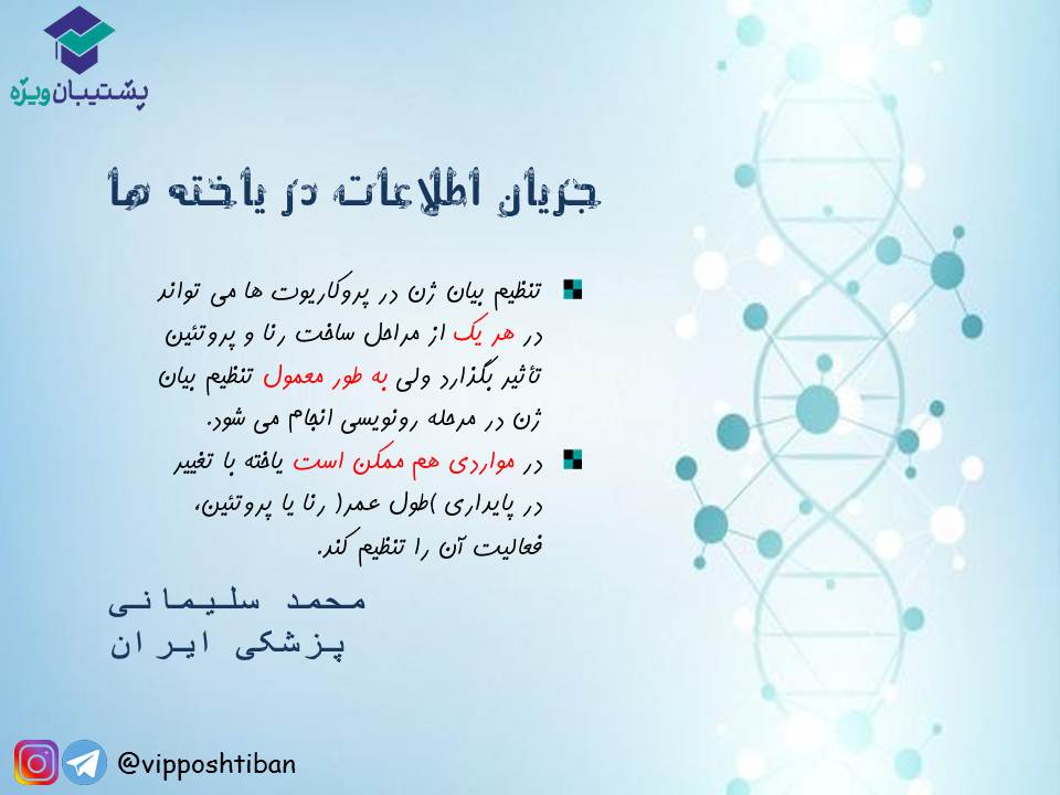 قیدنامه جریان اطلاعات در یاخته‌ها زیست دوازدهم ( 17 آبان 98 ) - تصویر 4