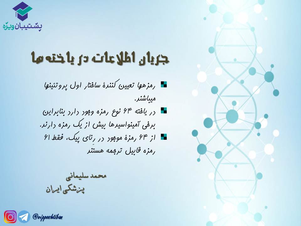 نکات مبحث جریان اطلاعات در یاختهها زیست دوازدهم( 3آبان98 ) - تصویر 11