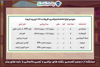 رتبه 14 تجربی: جزوه خلاصه نکات زیست دوازدهم ویژه آزمون 25 بهمن