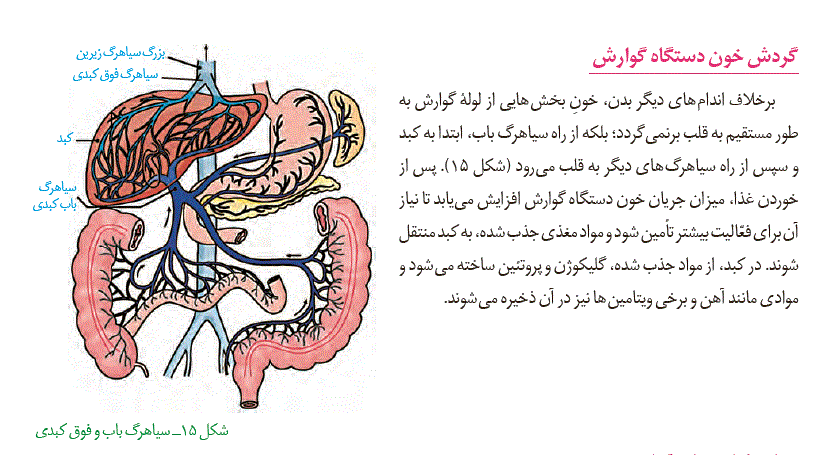 بررسی سوالات پرچالش آزمون 15آذر در درس زیست‌شناسی - تصویر 4
