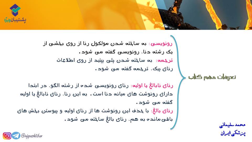 خلاصه نموداری گفتار1و2 فصل دوم زیست دوازدهم(آزمون 3 آبان 98) - تصویر 5