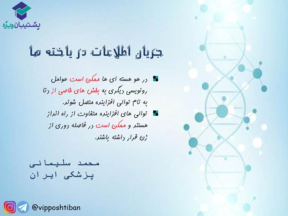 قیدنامه جریان اطلاعات در یاخته‌ها زیست دوازدهم ( 17 آبان 98 ) - تصویر 8