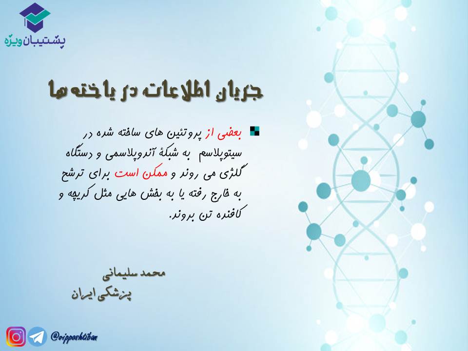قیدنامه جریان اطلاعات در یاختهها زیست دوازدهم ( 3آبان98 ) - تصویر 8