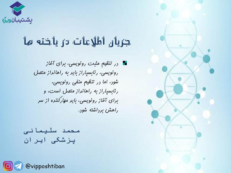 نکات جریان اطلاعات در یاخته‌ها زیست دوازدهم(17 آبان 98) - تصویر 9