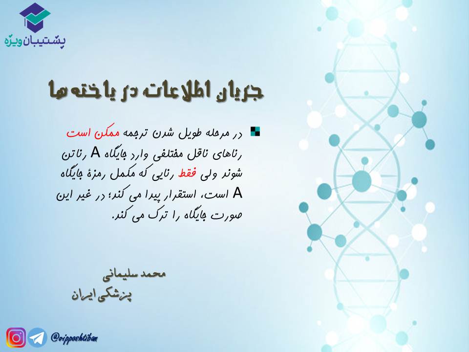 قیدنامه جریان اطلاعات در یاختهها زیست دوازدهم ( 3آبان98 ) - تصویر 6